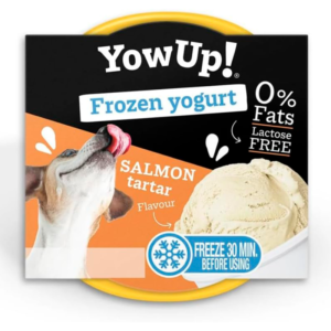 YOWUP HELADO YOGURT TARTAR SALMON 110GR
