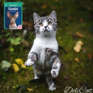 GOSBI DELICAT STERILIZED CHICKEN with SHRIMPS LOAF 70 g.