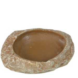 Cuenco Reptiles, Agua y Aqua-gel, 6x1.5x4.5 cm